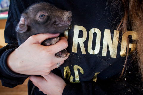 Strong as a Mother - Jenna Hobbs holding piglet in black & gold crewneck
