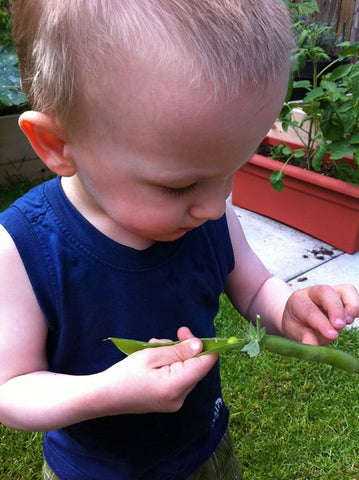 Strong as a Mother Finn peas