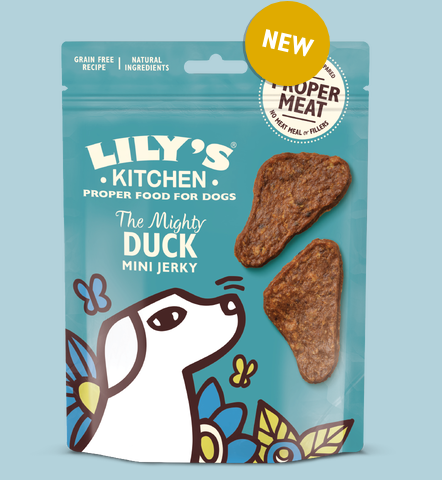 Lily's Kitchen Mighty Duck Mini Jerky - HOUNDS