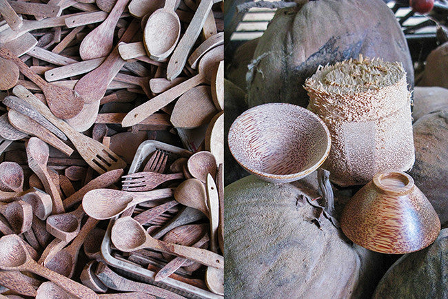 Coconut Wood Blog pic 04