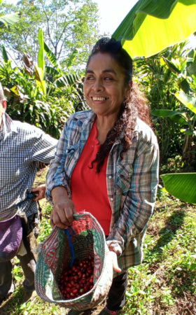 Mexican WPZ woman with coffee berries