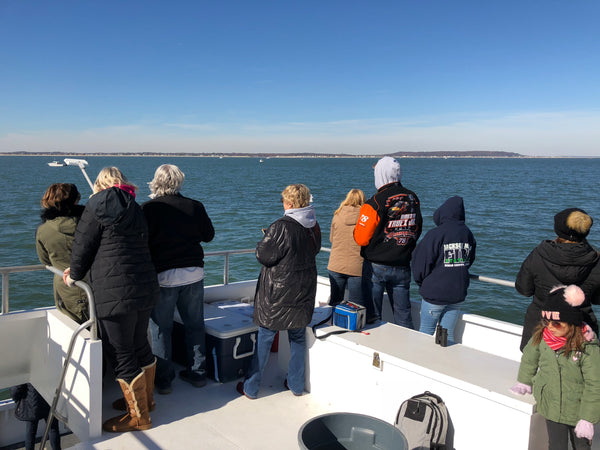 Https://jerseyshorewhalewatchingtour.com