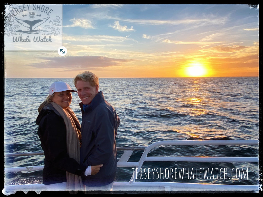 Jersey shore whale watch trip photos 