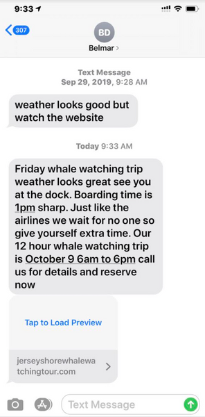 sms whale watching text messages 