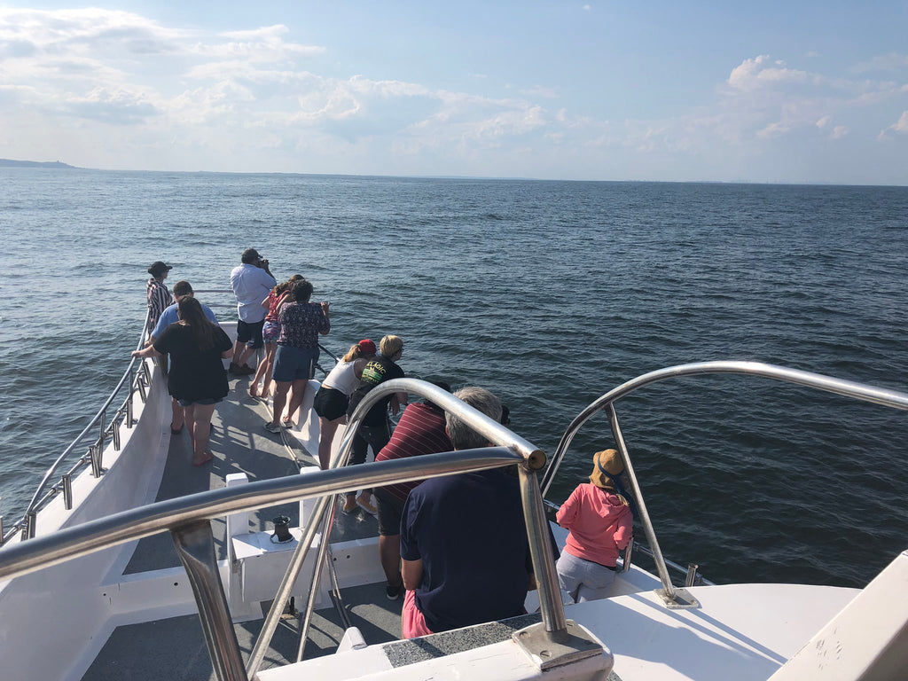 jersey shore whale watch trip photos july 2019 