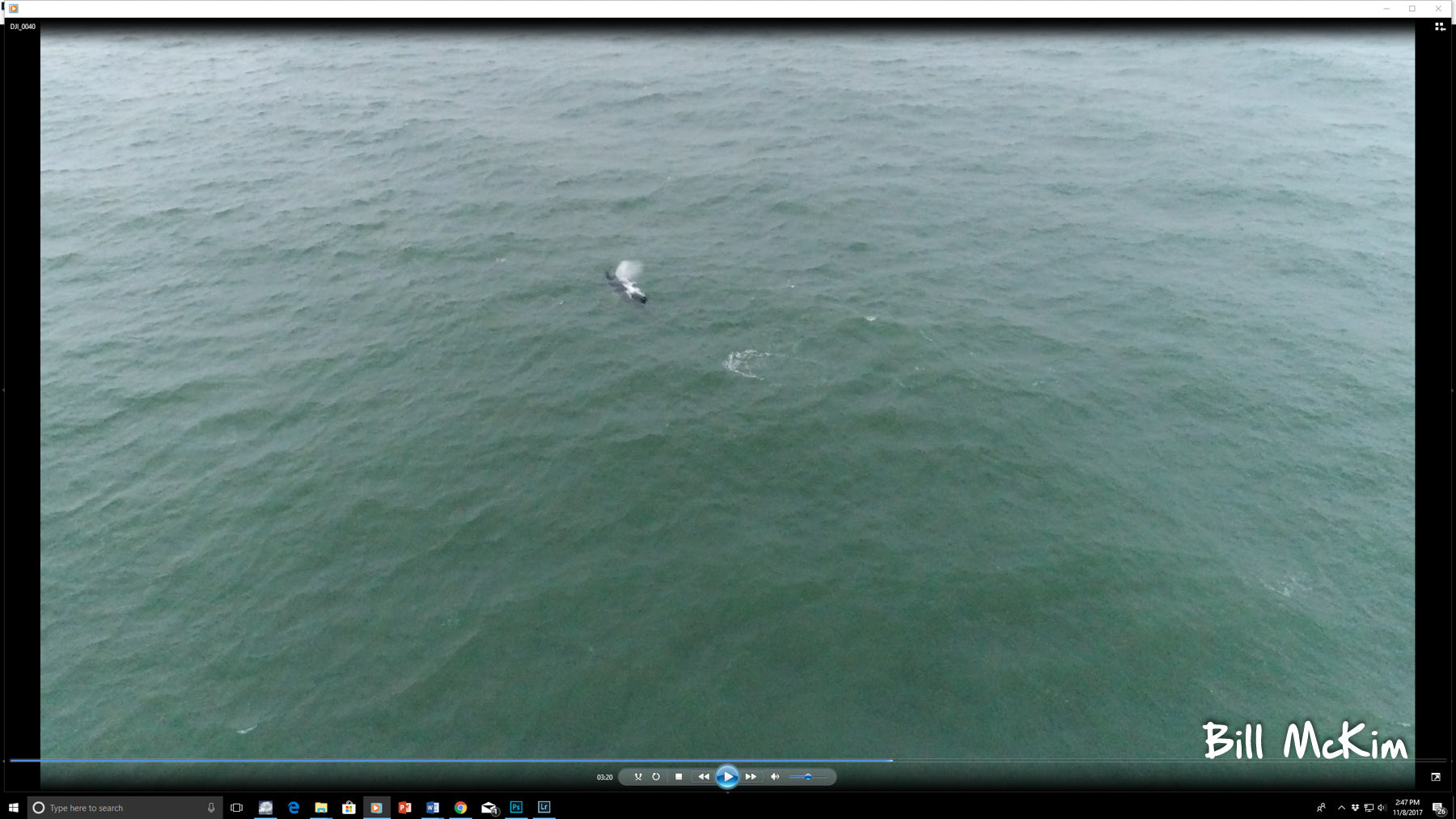 Humpback whale video new jersey dji drone 