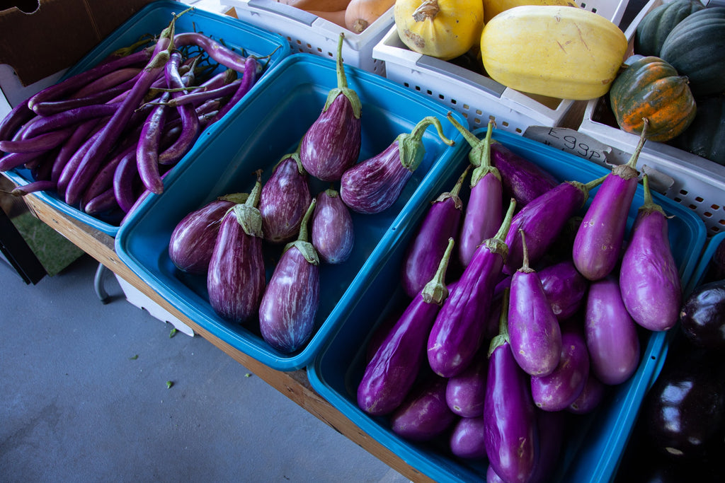How to cut eggplant: three kinds of eggplant at the market