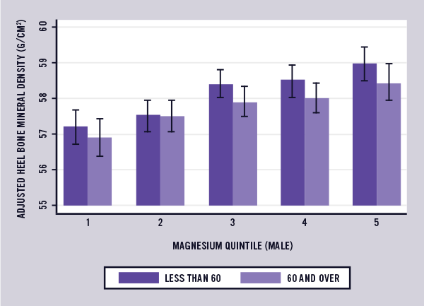 Magnesium and Bone Mineral Density Study Graph 1