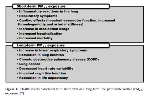 particulate matter exposure