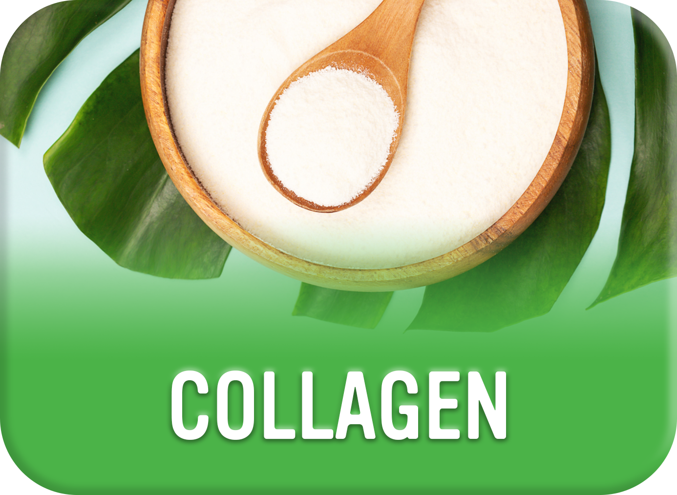 Alkaline for Life Collagen Blog