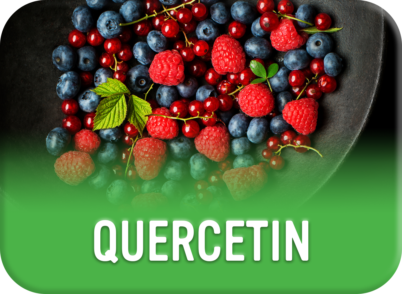 Alkaline for Life Quercetin Blog