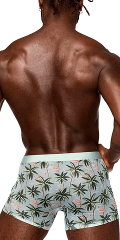 Sheer trunk -  - Men's Underwear and Swimwear