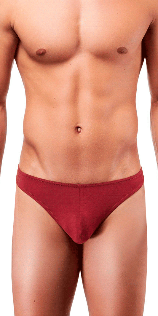 Bordeaux Briefs With White Waistband - Buy Now