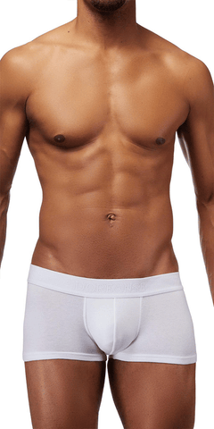 Men's Sheer and Mesh Underwear