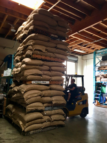 Stacked Sacks of Green Coffee Bags and a forklift