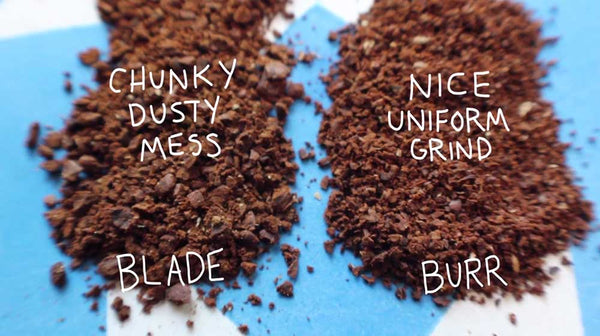 Burr versus Blade Coffee Grinder