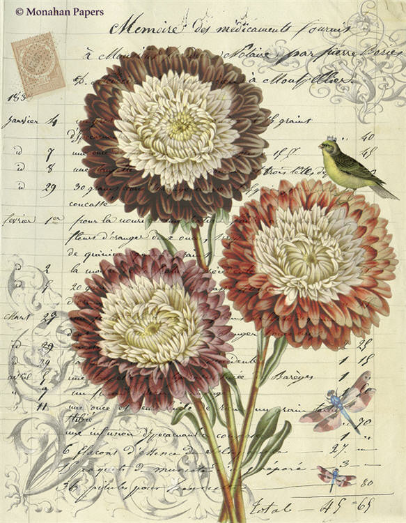 Monahan Papers - Antique Papers, French Botanicals – Collette's Cottage