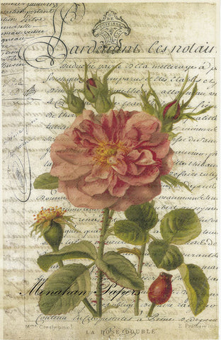 Monahan Papers - Antique Papers, French Botanicals – Collette's Cottage