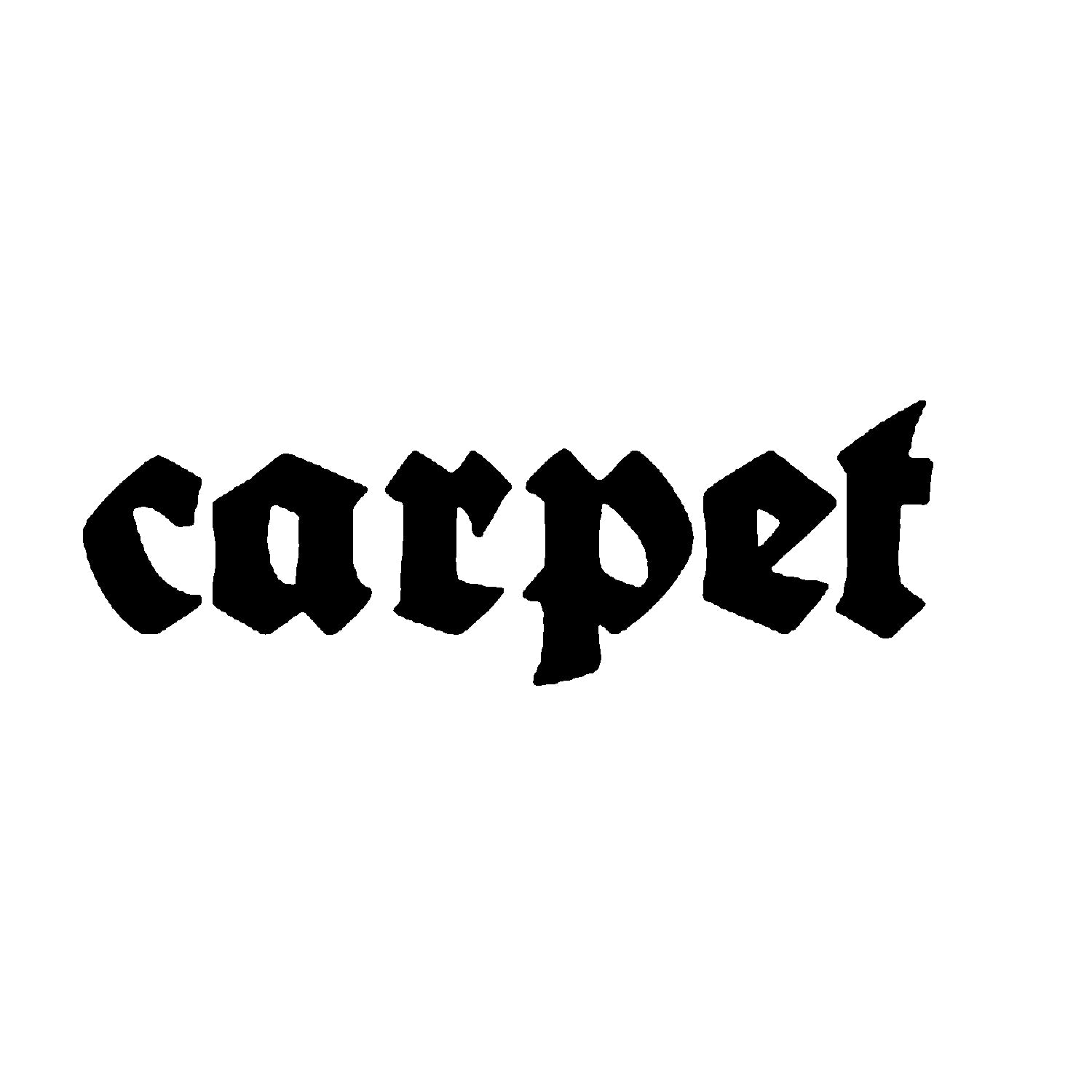 carpet-company-page-2-lo-fi