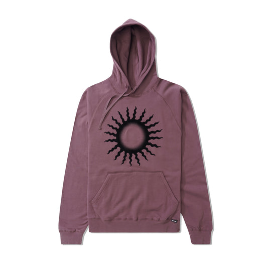 Quasi skateboards store hoodie