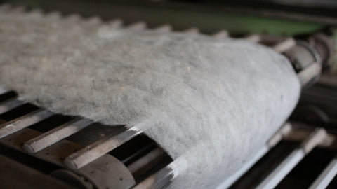 carded wool on conveyor belt