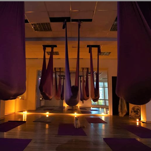 Studio Set Up Purple Yoga Hammock
