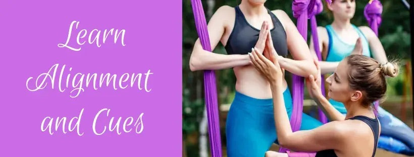 Girls in the aerial yoga academy with the text “Learn Alignment and Cues”