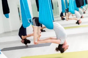 A class of aerial teachers doing aerial poses.