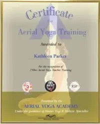 An aerial yoga teaching certification example.