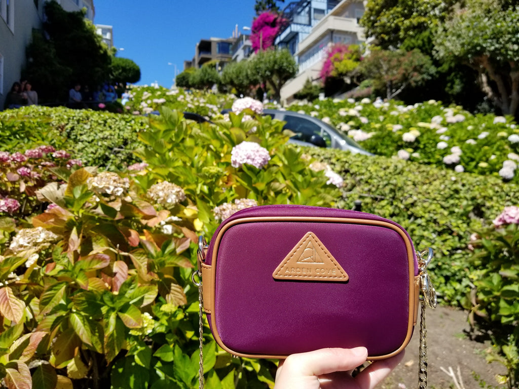 Best View of San Francisco Lombard Street