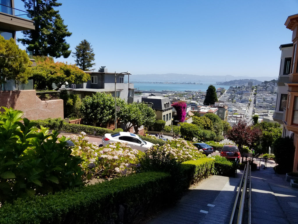 Best Places for San Francisco View Lombard Street