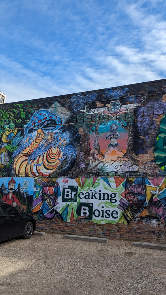 Boise Freak Alley Gallery