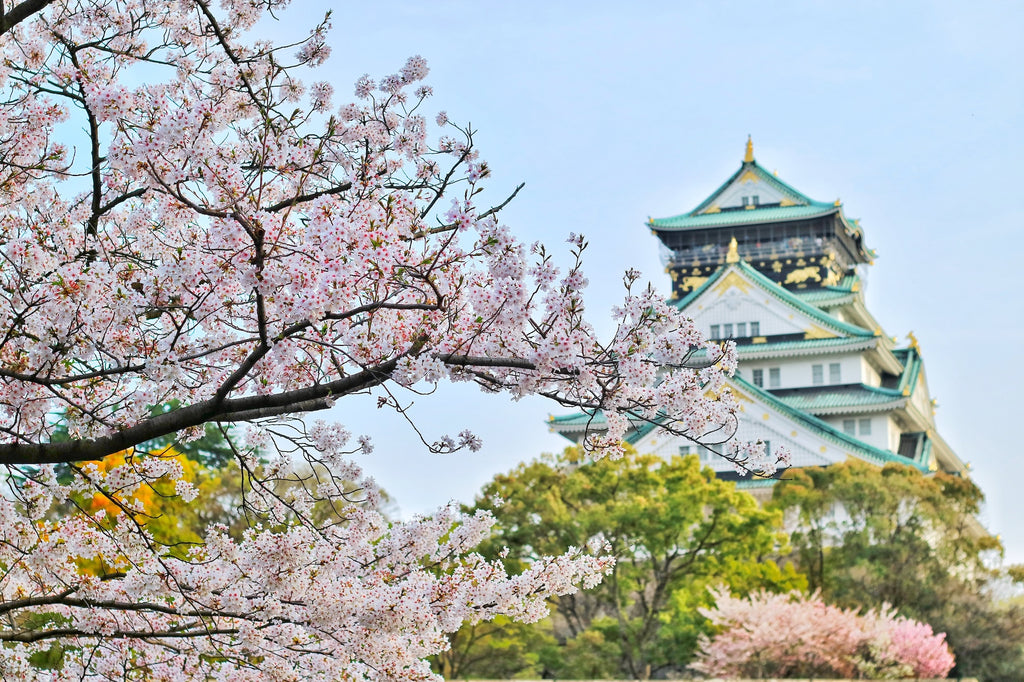 Sakura Cherry Blossoms in Osaka, Japan Photo by Bagus Pangestu: https://www.pexels.com/photo/close-up-photography-of-cherry-blossom-tree-1440476/
