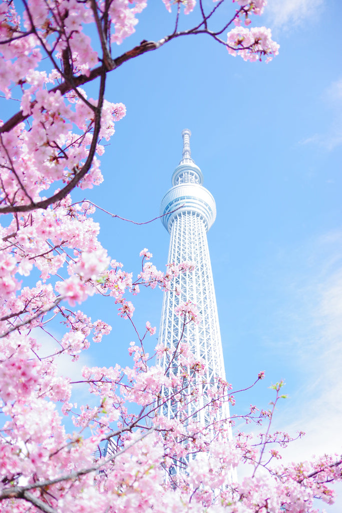 Photo by Yuri Yuhara: https://www.pexels.com/photo/pink-cherry-blossom-tree-under-blue-sky-4151484/