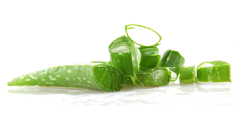 sliced aloe vera plant