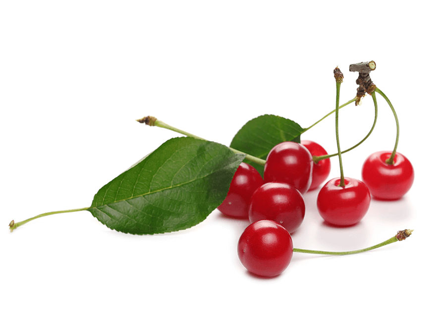 Sour Cherries