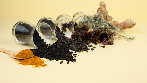 image of immunity herbs