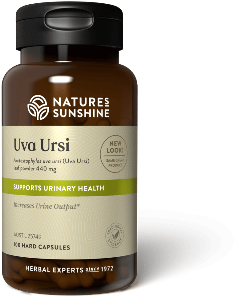 bottle of Nature's Sunshine Uva Ursi