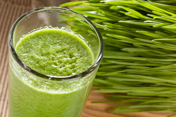 wheat grass