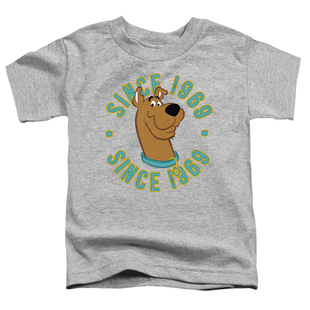 Scooby Doo Toddler T-Shirt Since 1969 Athletic Heather Tee