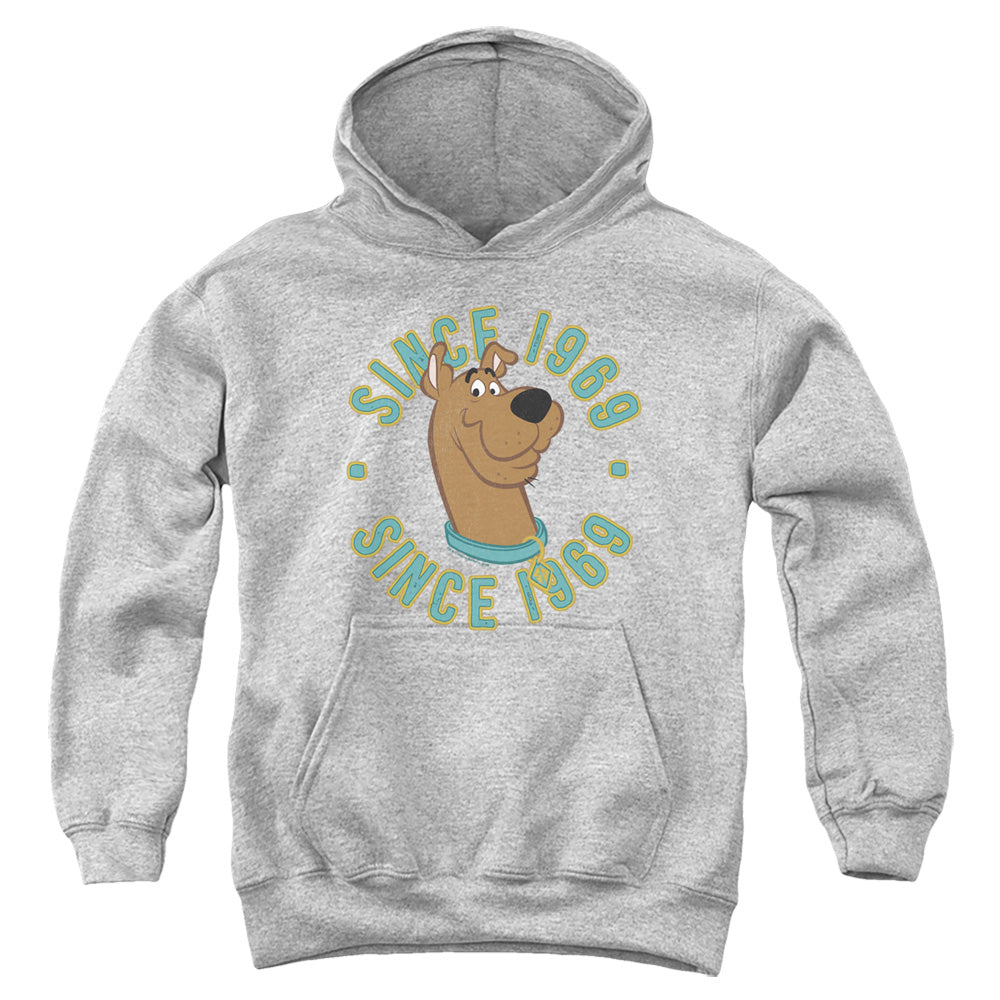 Scooby Doo Kids Hoodie Since 1969 Athletic Heather Hoody