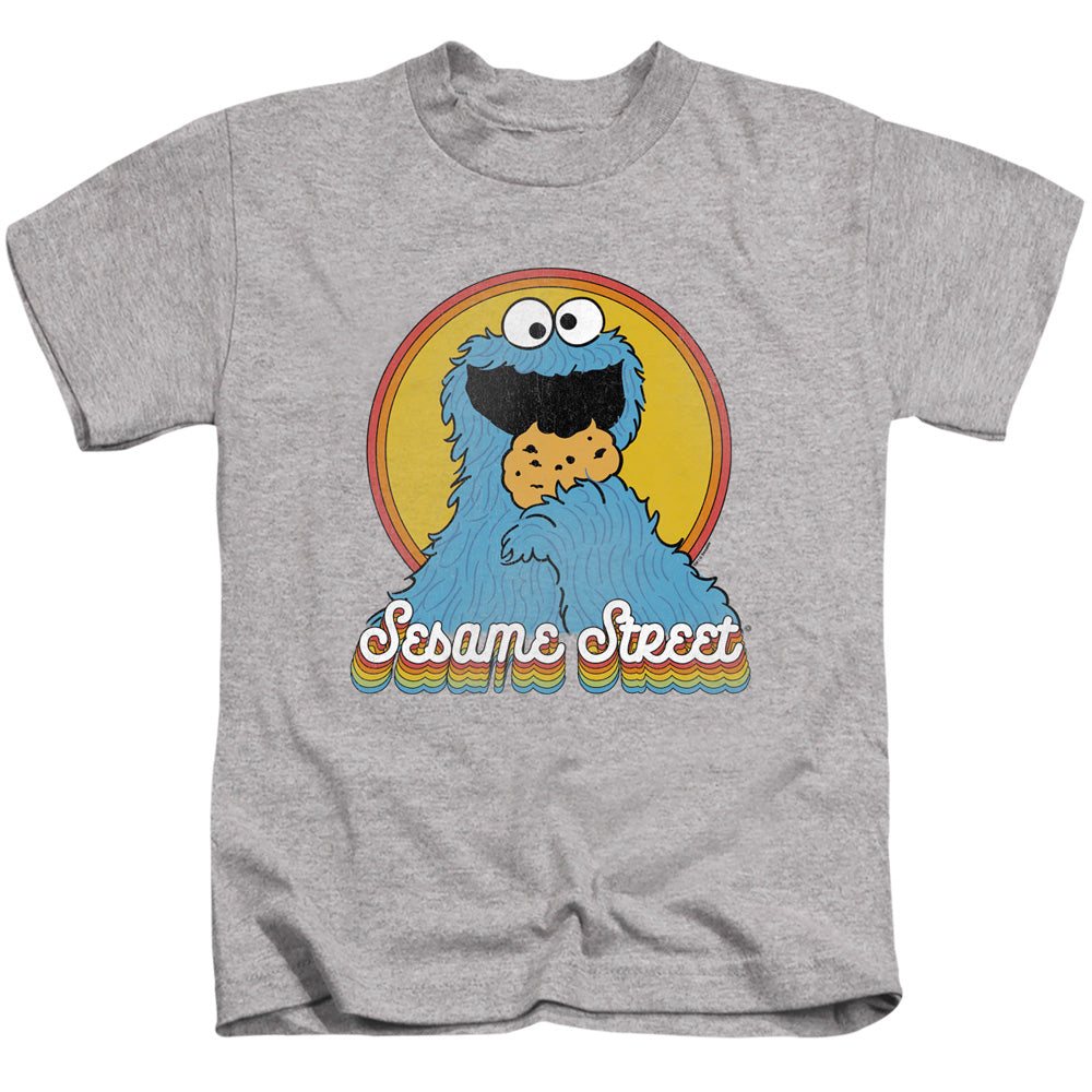 Sesame Street Boys T-Shirt Cookie Monster Rainbow Heather Tee