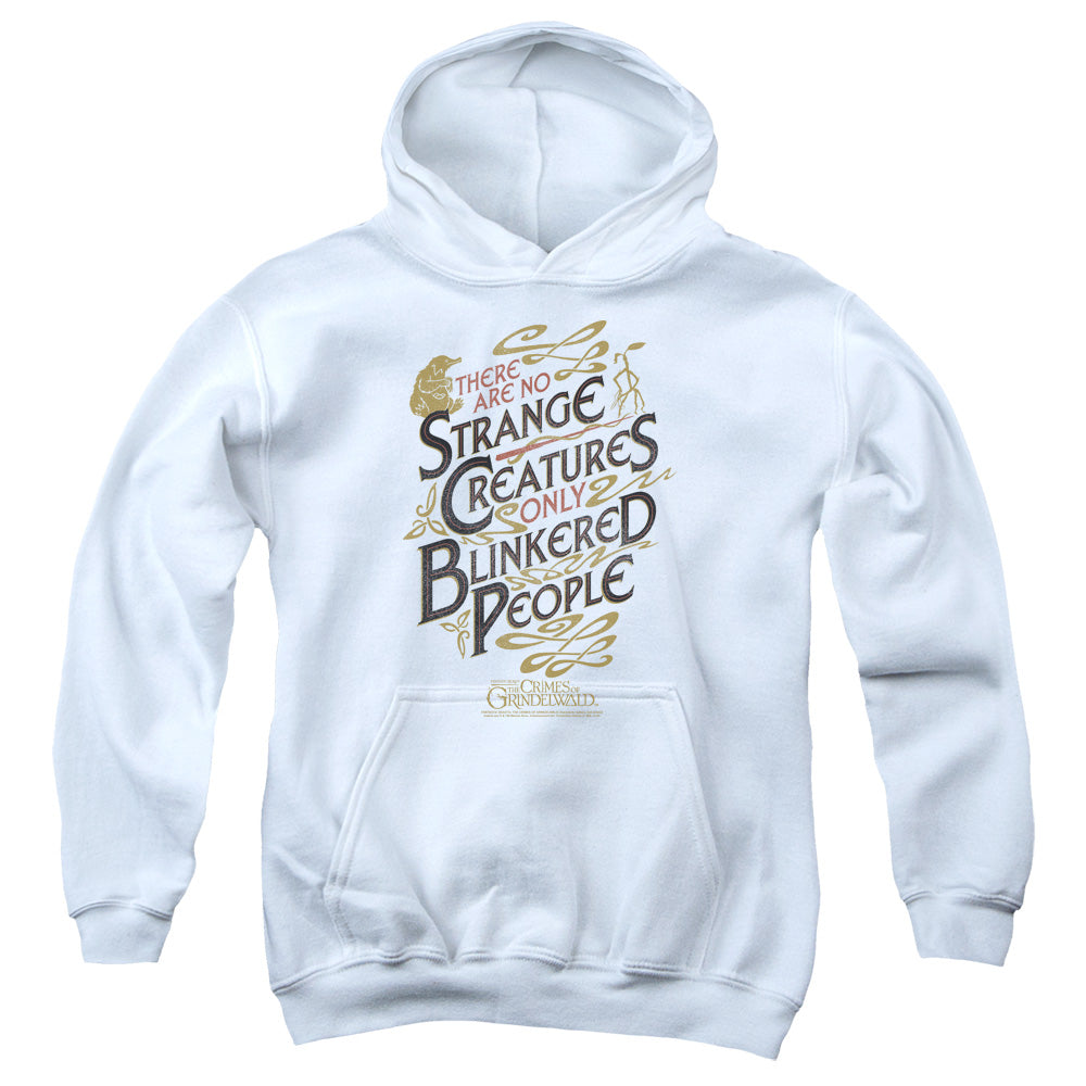 Fantastic Beasts 2 Kids Hoodie Blinkered People White Hoody