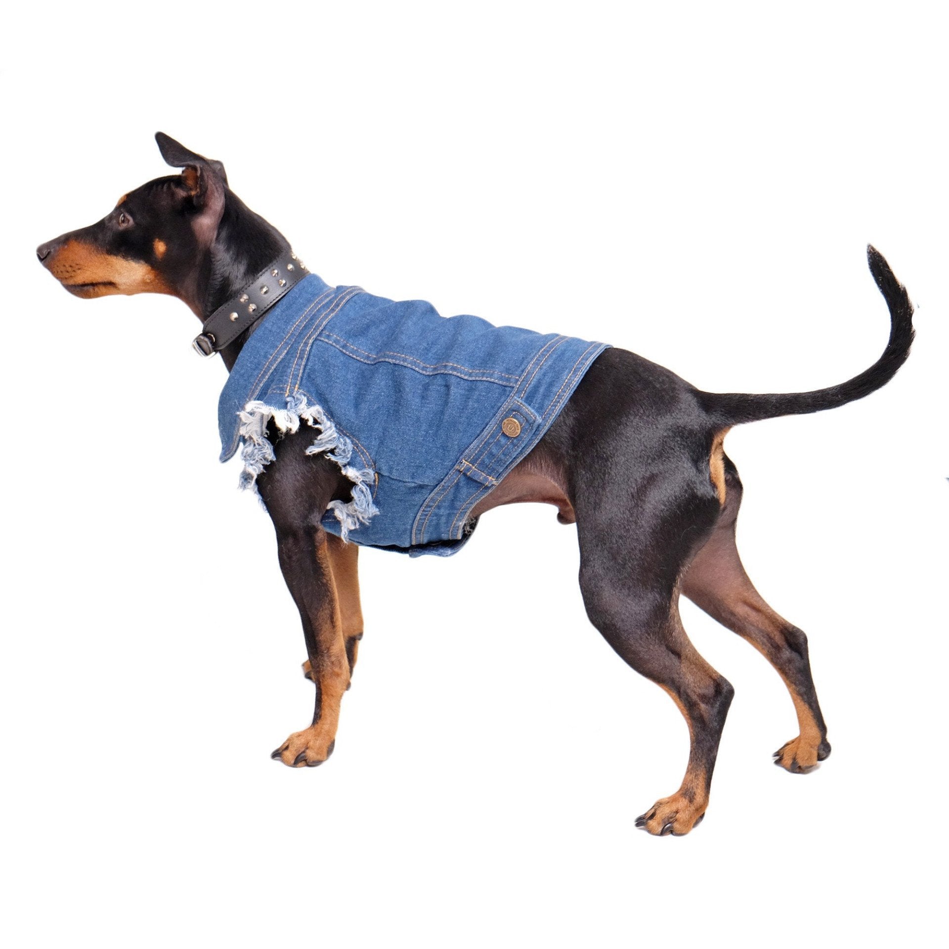 Drake Dog Vest Cheap Clearance, 69% OFF 