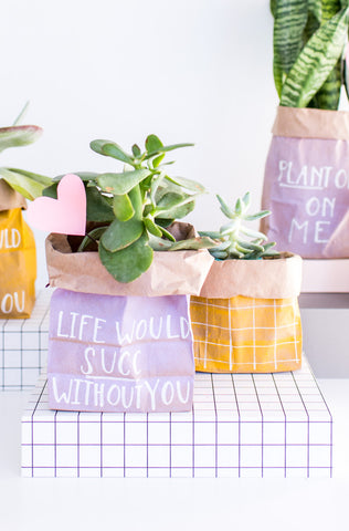 Succulent planter bag wrapping from Paper N Stitch blog