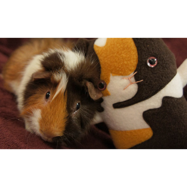 custom guinea pig plush