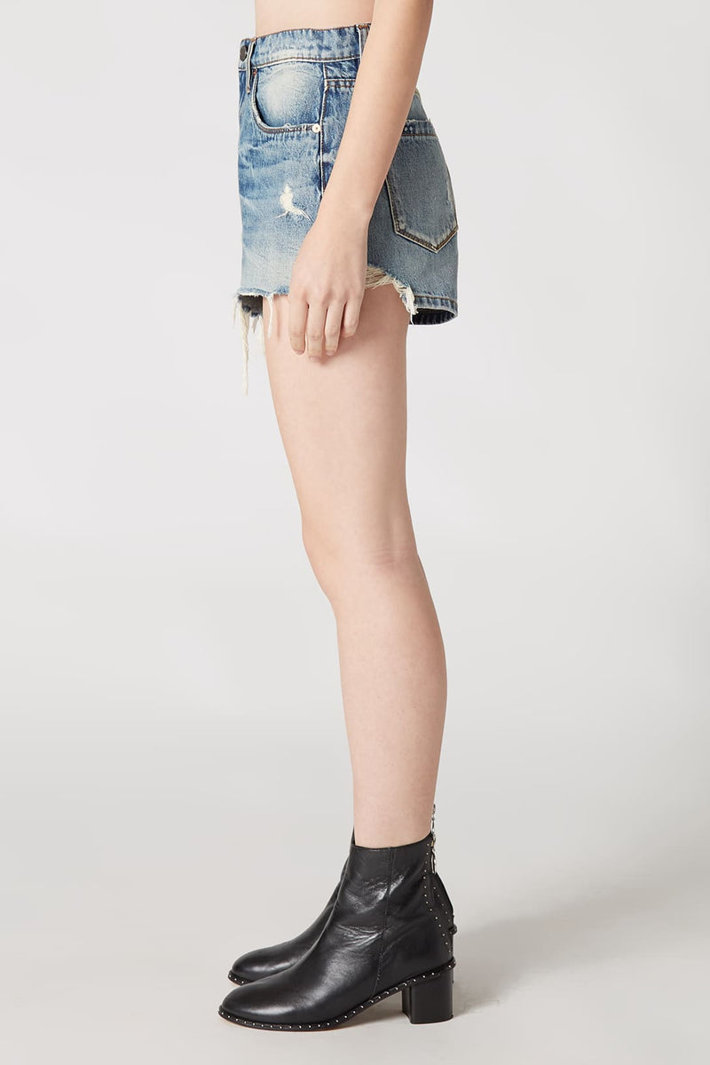 Blank NYC Barrow High Waist Cutoff Denim Shorts – Bliss Bandits