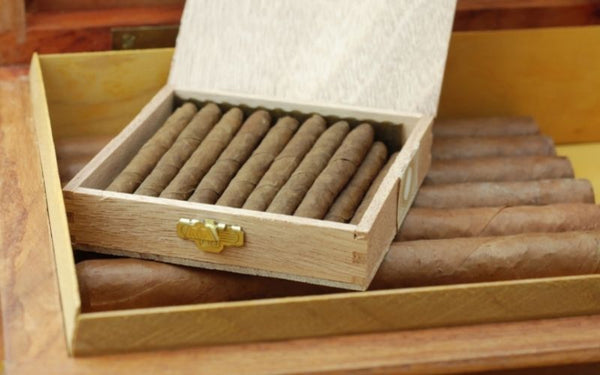 Tips for Fresh Cigars: Understanding How a Humidor Works - Your Elegant Bar