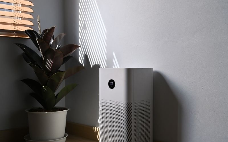 Air Purifier and Houseplant in Modern Home