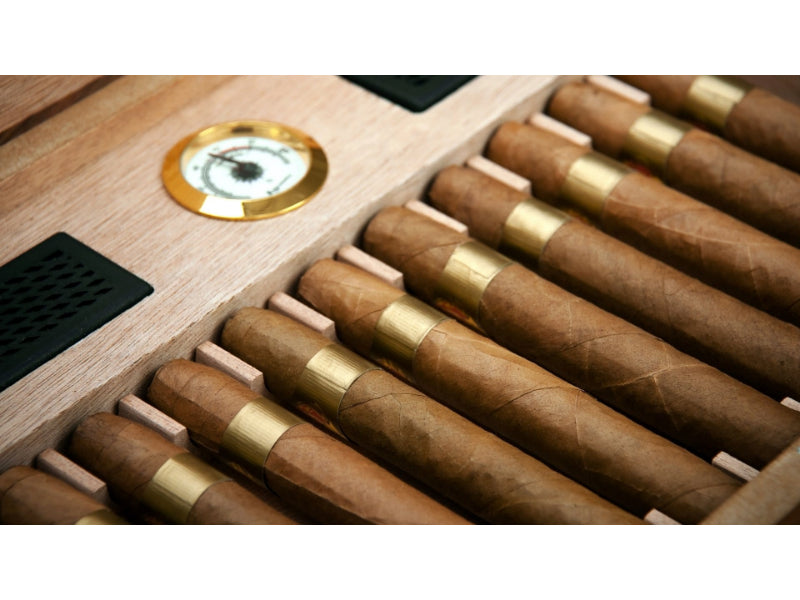 Cigar humidor with built-in hygrometer